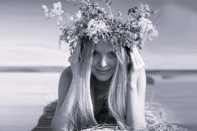 Vlada